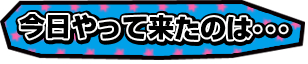 今日やって来たのは…