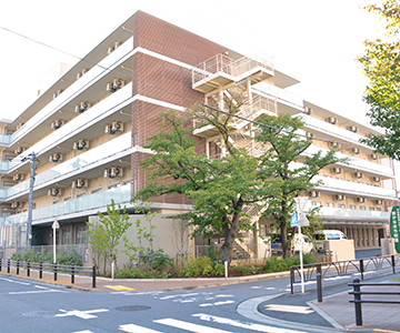 東かなまち桜園