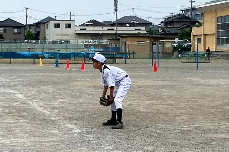 Description of Photo